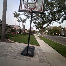 Lifetime Basketball Hoop 