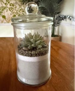 Candle (new)