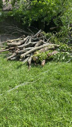 Free wood