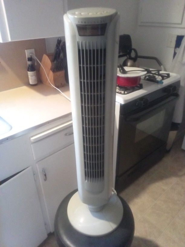 Fan