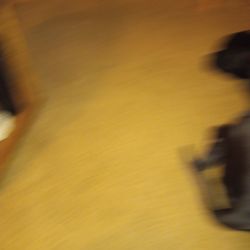 Found Bag With Contents