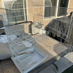  Bird Cage 