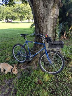 26" Peugeot US express