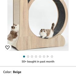 **REDUCED** - Cat Exercise Wheel