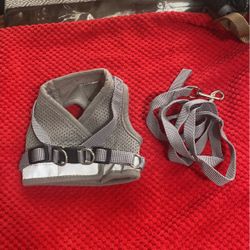 Dog Harness