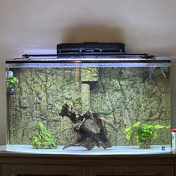 Fish Tank / Acrylic 55 Gallons / Pick Up Only 