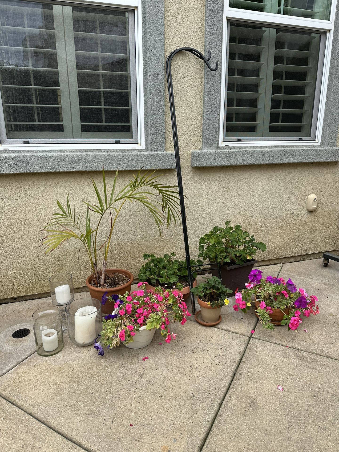 Plants, Plant Hooks, Outdoor Candle Holders