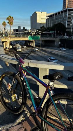 throne 29er