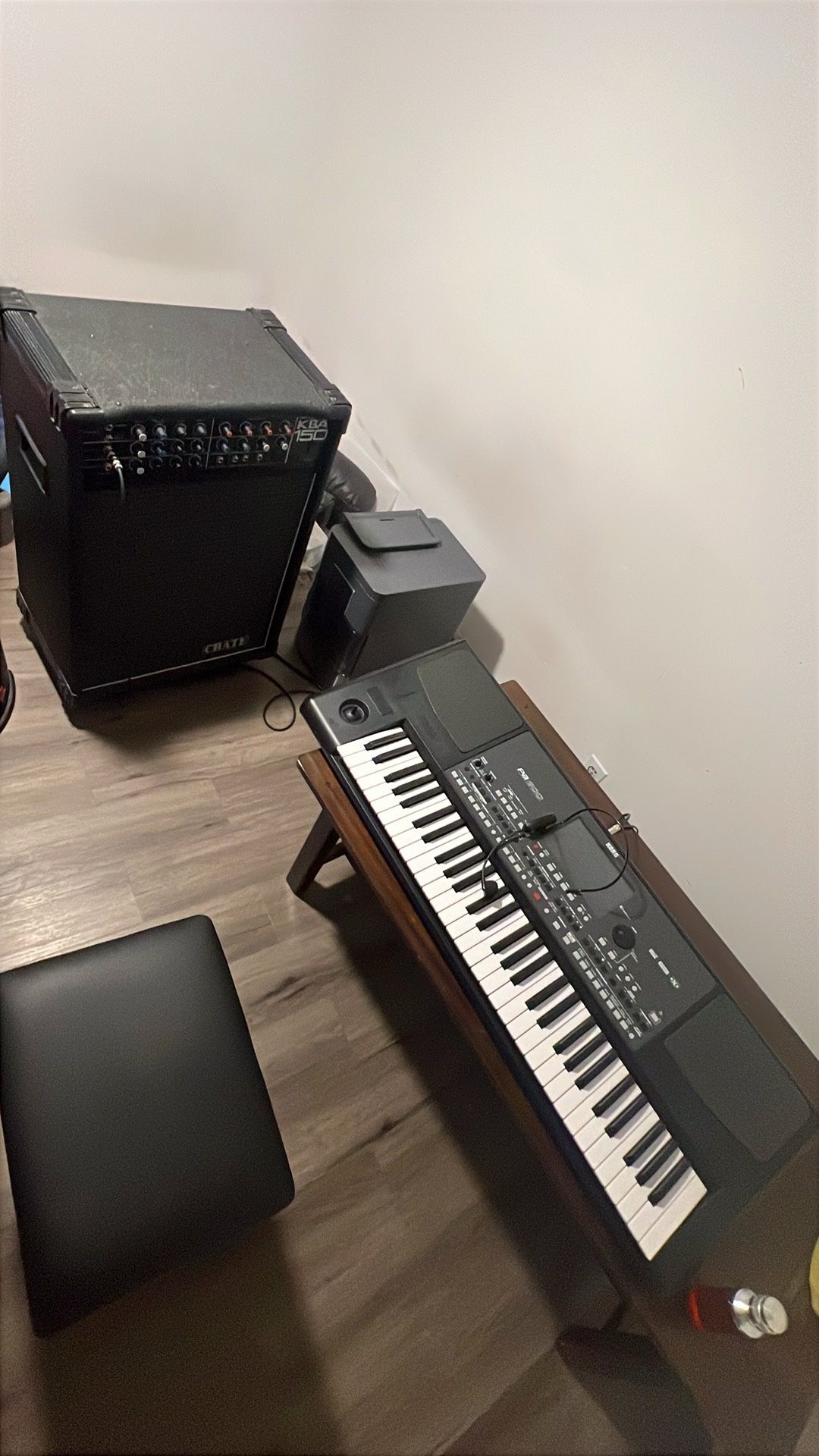 Corg Pa 600