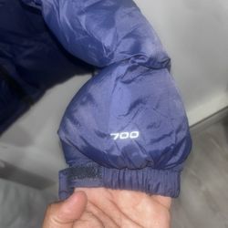 The north face 700