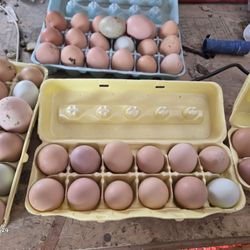Unwashed Farm Fresh Eggs. 