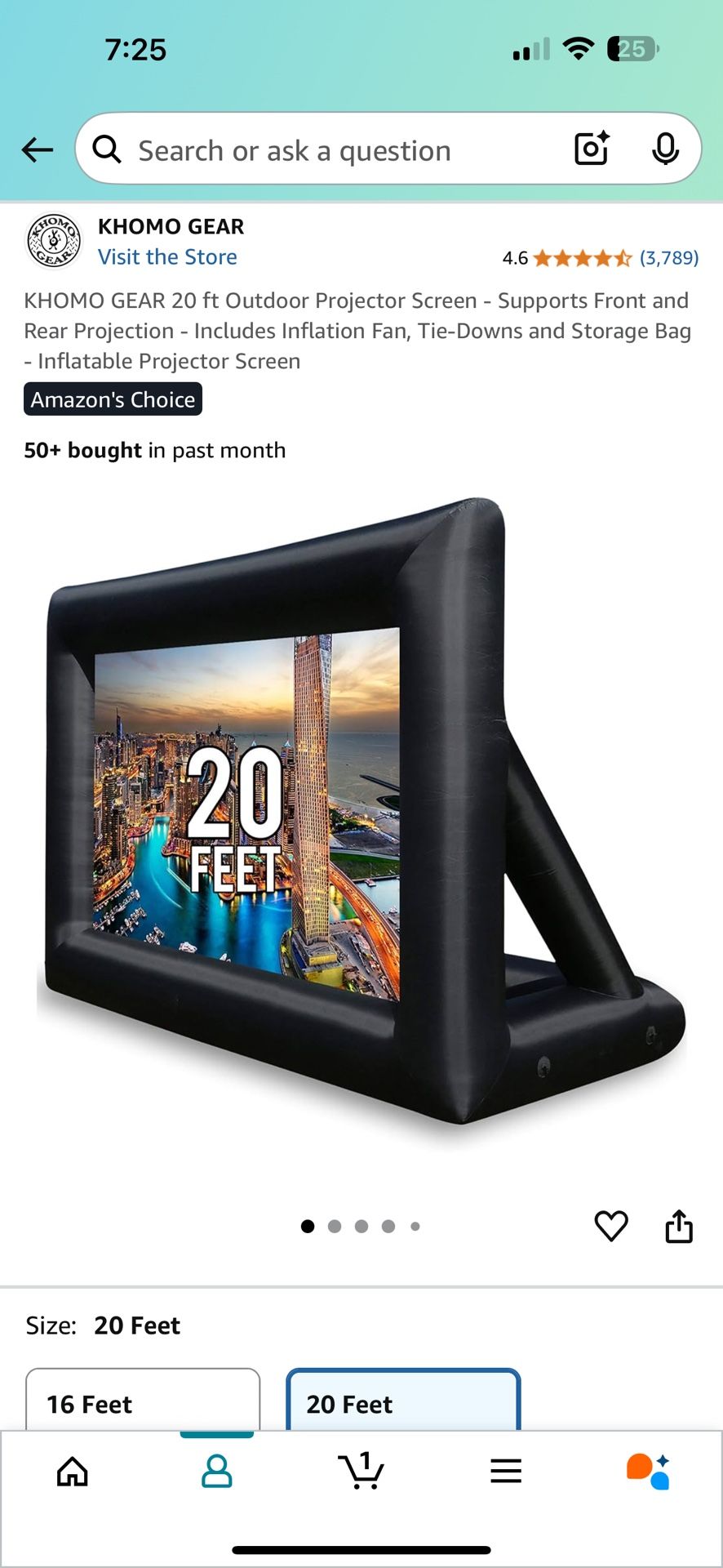 Inflatable Projection Screen
