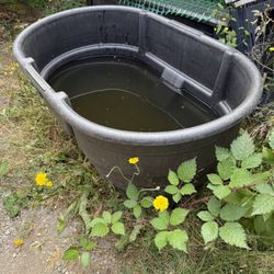 100+ Gallon Stock Tank
