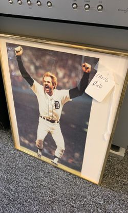 Framed tigers poster