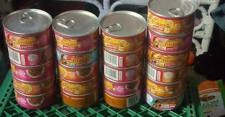 Cat Food