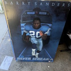 Vintage Sports Poster Boards