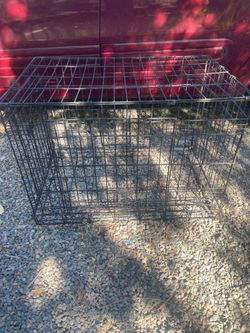 Cage for anemall
