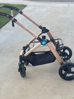 Doggy Stroller