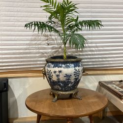 Beautiful Collectable Rare Plant Pot  