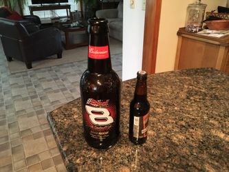 Dale Earnhardt Jr. collectible