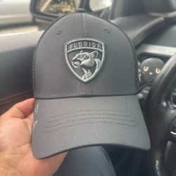 Nhl Fl Panther Black Hat