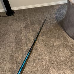 10ft SURF ROD
