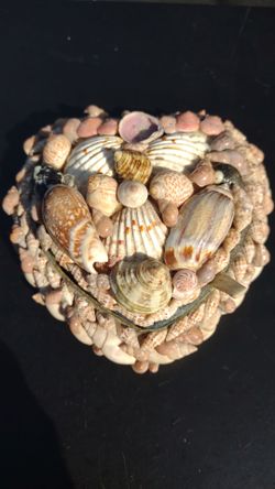Sea Shell Box