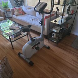 Schwinn BioDyne Performance Stationary Bike 