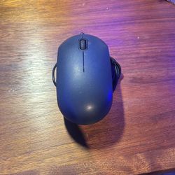 Computer Mouse 