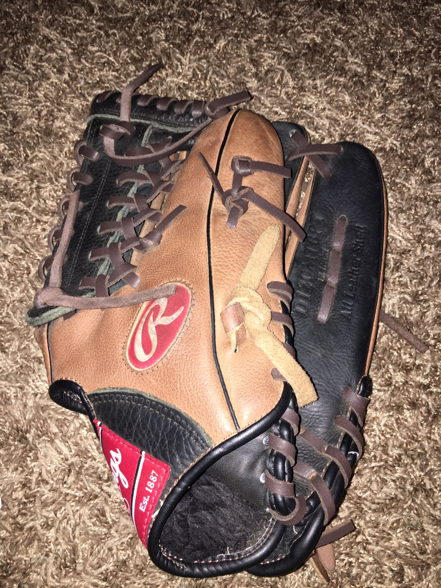 Rawlings D120MTBPT 12 inch all leather shell Baseball glove