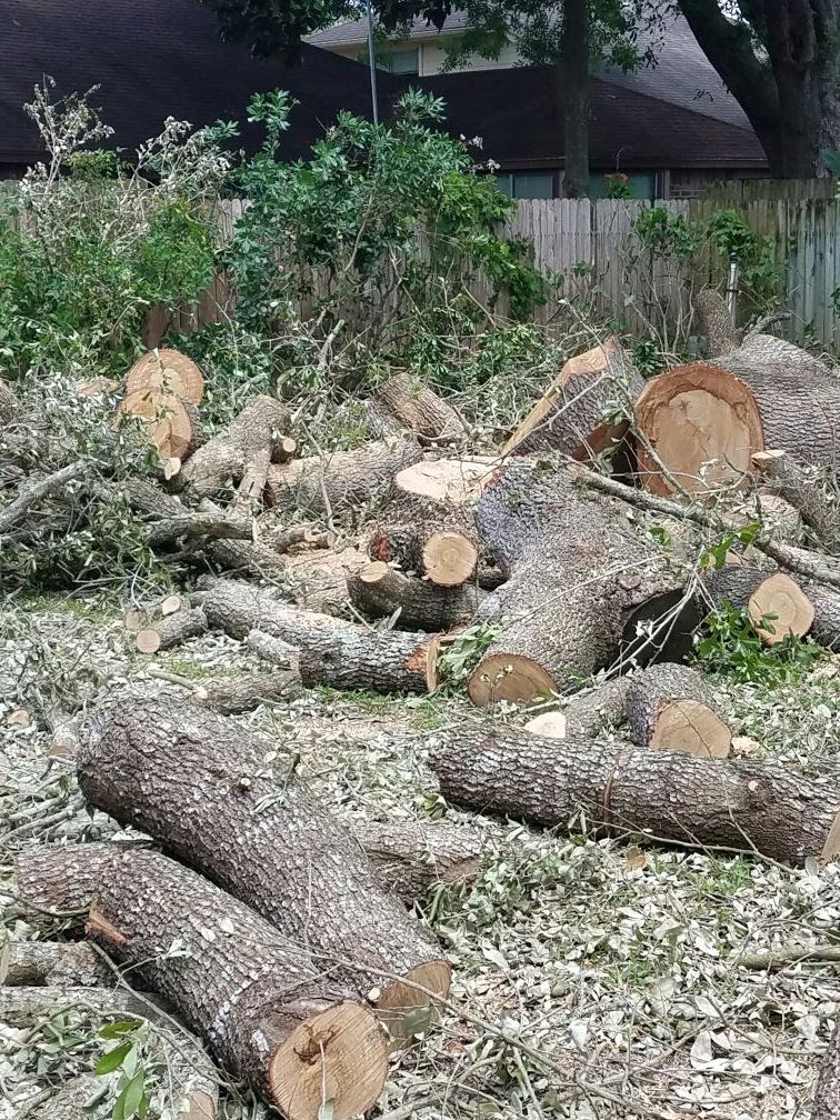 Firewood: cord, or bundle $5, lots of wood!