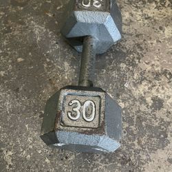 30LB Dumbbell Weight