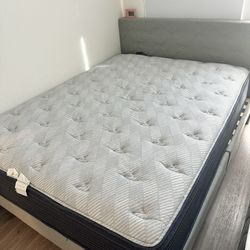 Queen Size Bed Frame Or Mattress 