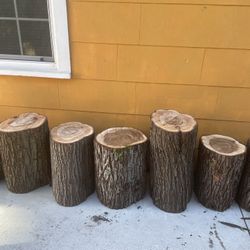 Wood Stumps 