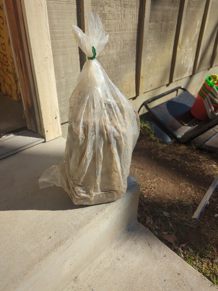 25lb Bruce's White Clay
