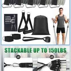 Exercise Resistance Bands with Handles for Working Out, 150/200/250/300 Lbs Workout Bands Set with Door Anchor for Physical Therapy, Yoga, Pilates