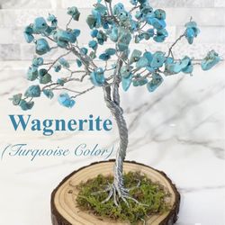 Turquoise color, Wagnerite stones