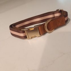 Personalized Dog Color