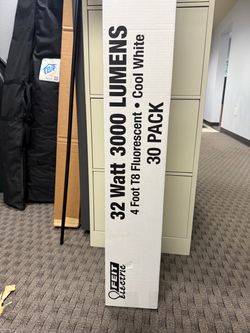 Fluorescent 4 Foot T8