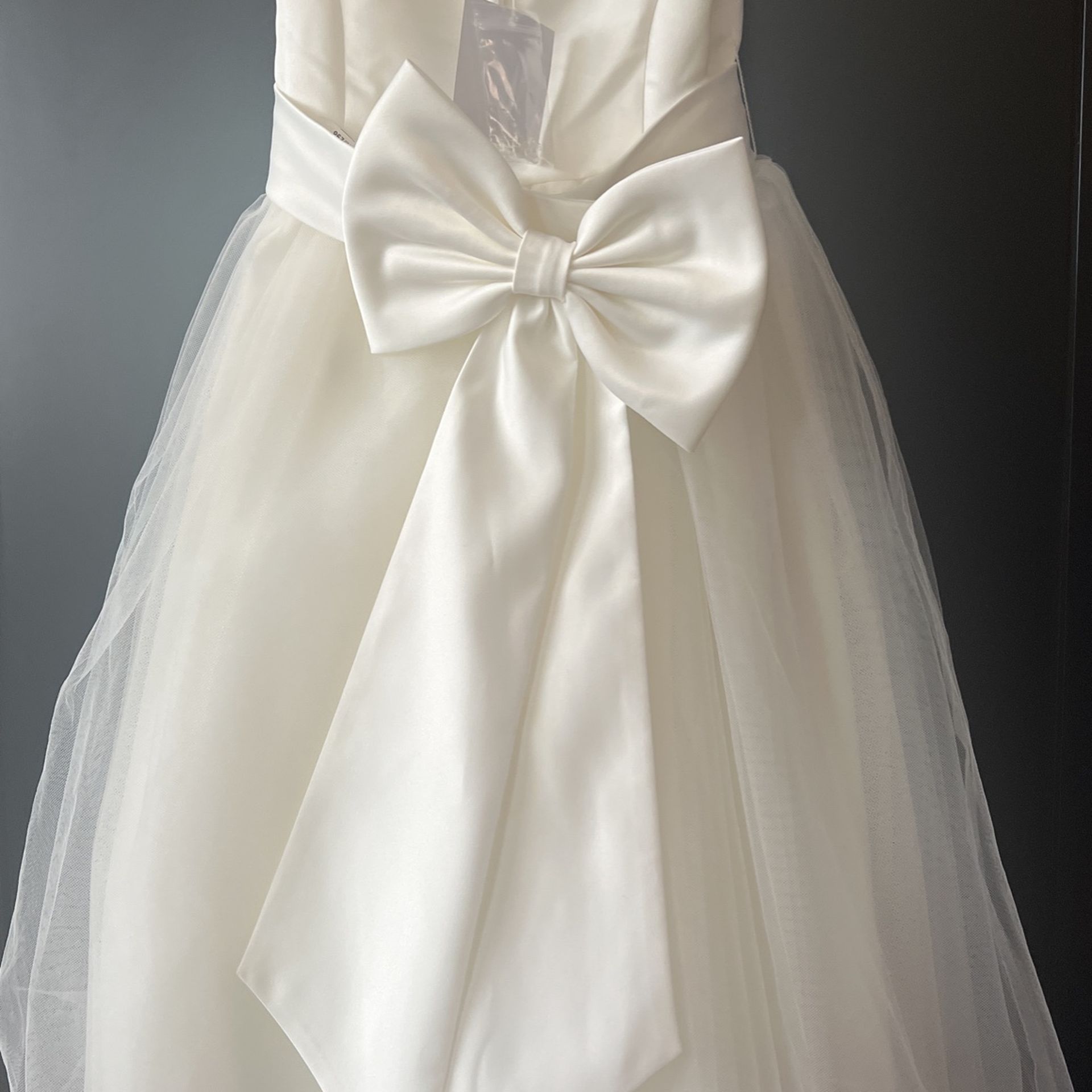 David’s Bridal Wedding Flower Girl Dress size 3