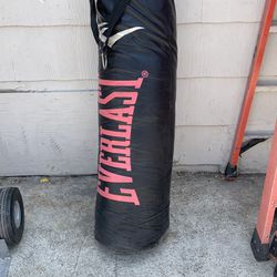 Everlast 100lbs Punching Bag