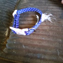 And Good Condition Dog Collar