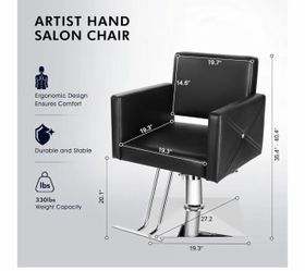 Salon Chair