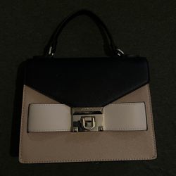 ALDO Purse