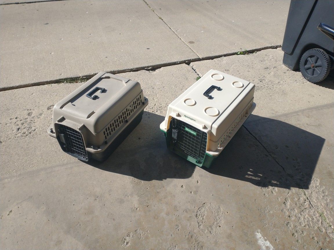 Dog Kennel