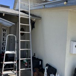 10ft Ladder 