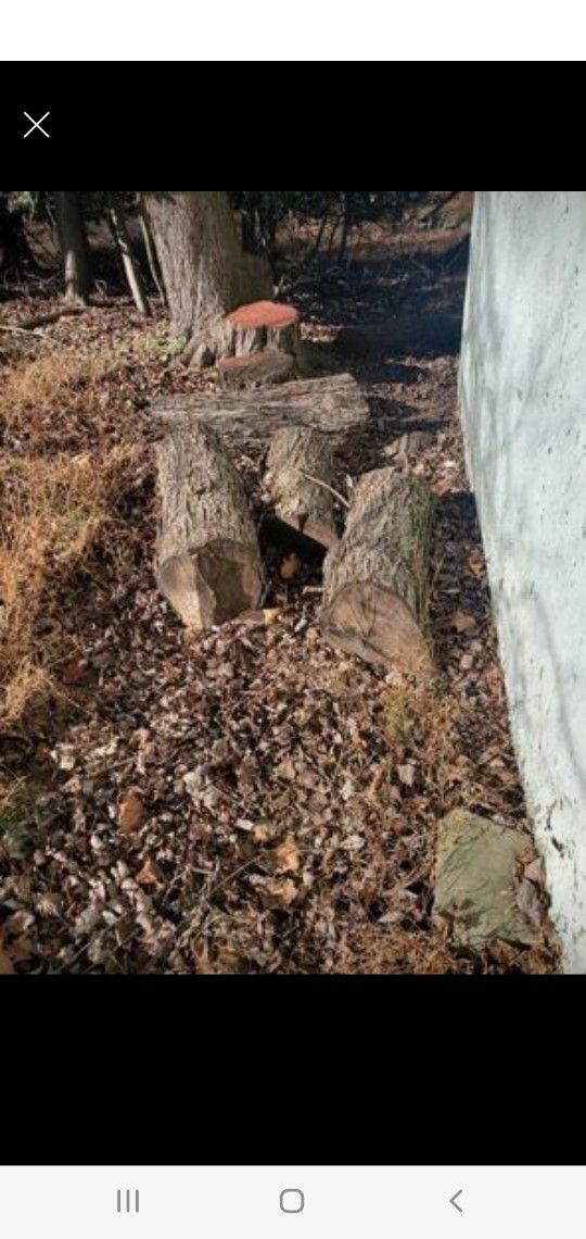Free dry wood for winter Heating fire logs fireplace