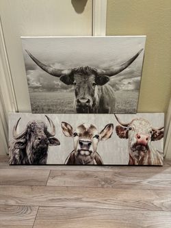 Decor. Bull picture frames