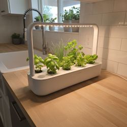 Click and Grow Smart Garden 9 Indoor Herb / Lettuce Garden with LED Grow Light
