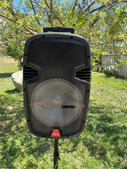15” Portable Speaker